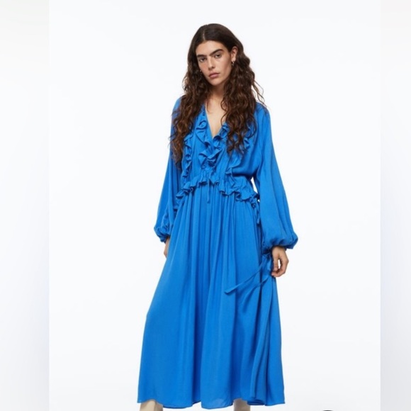 COPY - BNWT H&M Voluminous Ruffle-Trimmed Dress - Picture 5 of 5